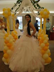 Quiceanara Accessories San Jose